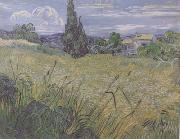 Vincent Van Gogh Green Wheat Field with Cypress (nn04) France oil painting artist